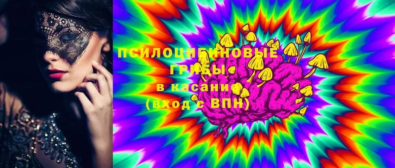 Названия наркотиков Кировск Конопля  APVP  блэк спрут как войти  Мефедрон  Гашиш  АМФ 